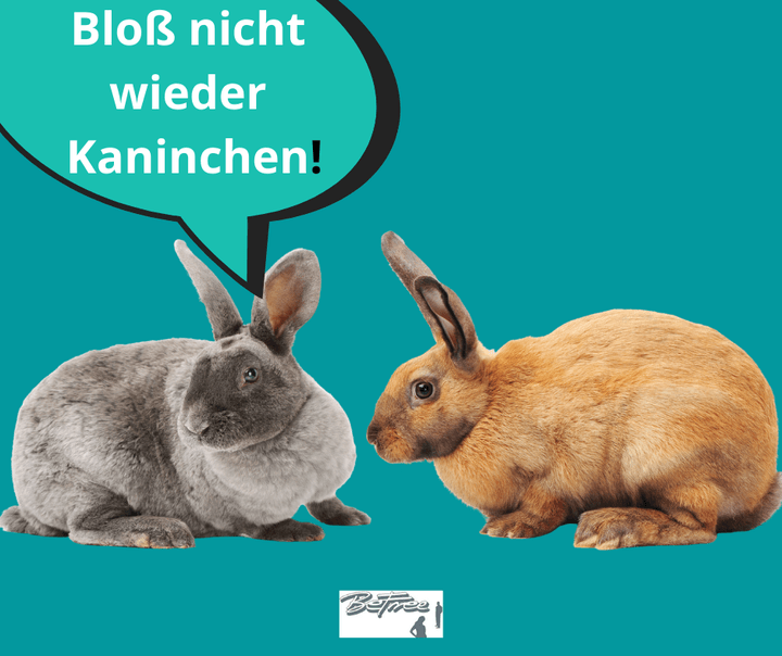 Das wünschen sich viele Frauen beim Sex. Bloß nicht dieses schnel..... - BeFree Liebesschule