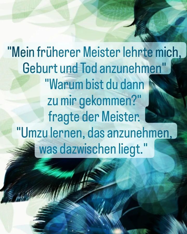 💭✨💭✨
Der gegenwärtige Augenblick ist ja meistens gut anzunehmen..... - BeFree Liebesschule
