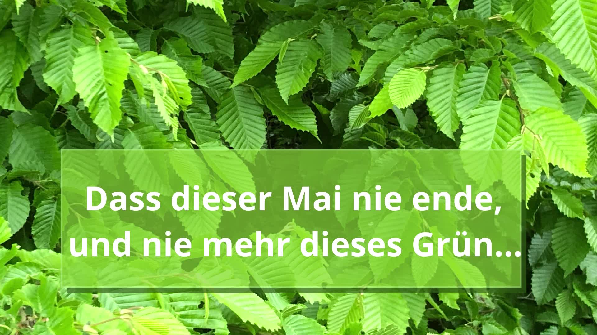Der Wonnemonat Mai sollte nie enden. Die Natur ist üppig und pral..... - BeFree Liebesschule