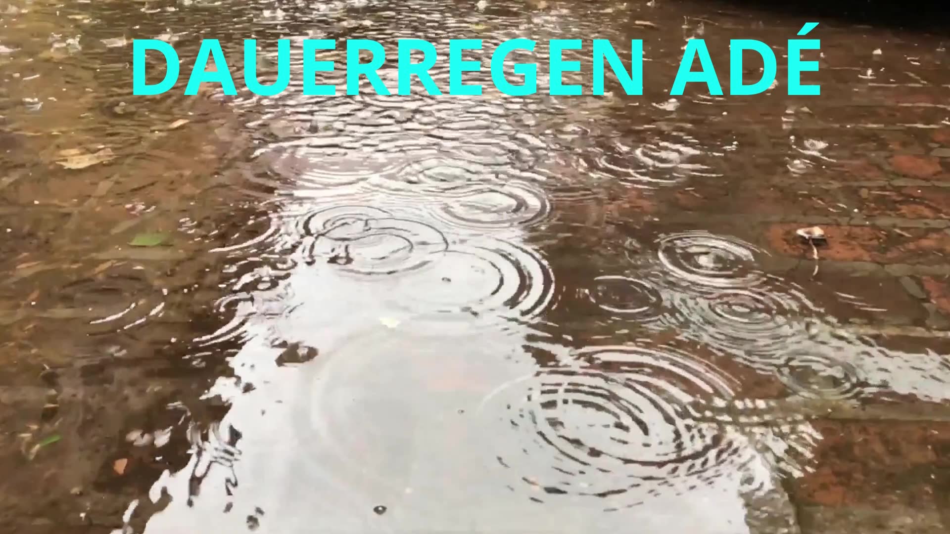 Zwei Tage Dauerregen sind zuende gegangen. Morgen wird die Sonne ..... - BeFree Liebesschule