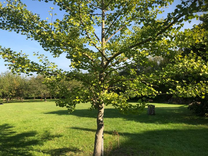 Seit gestern am späten Nachmittag bin ich auf Gut Frohberg. In ei..... - BeFree Liebesschule