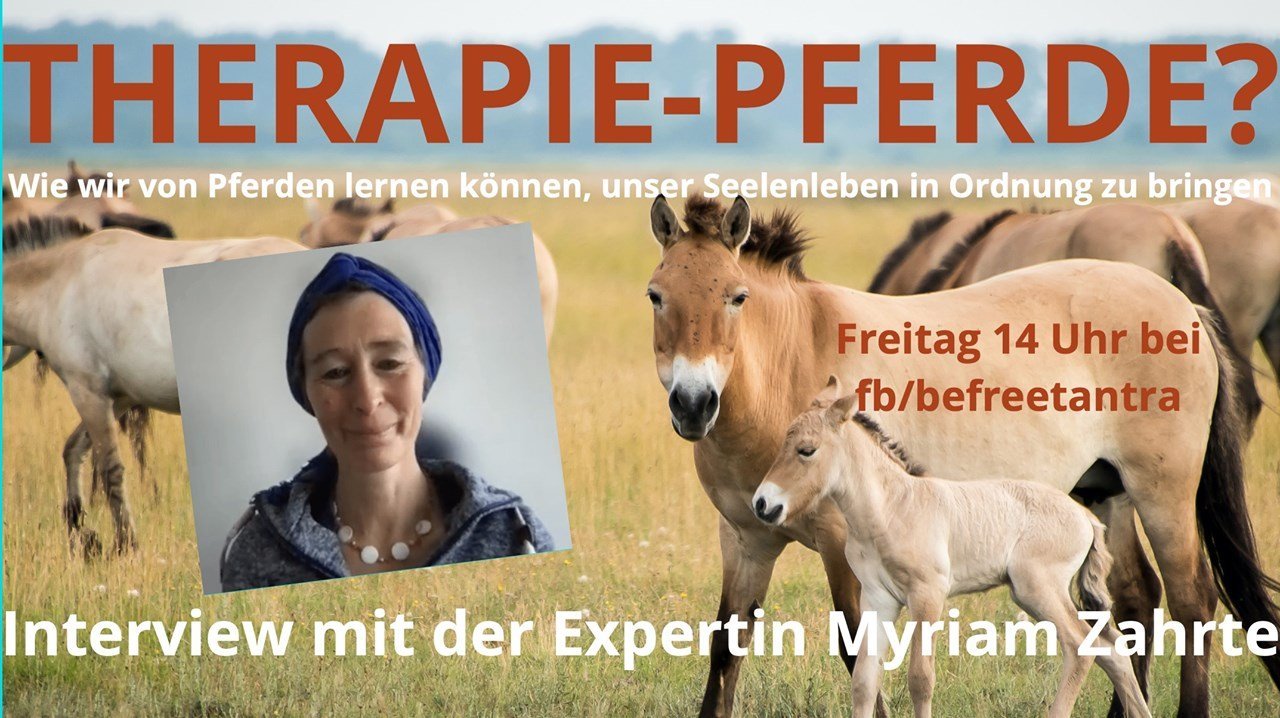 Im Interview erfährst du unter anderem, wie eine Therapiestunde m..... - BeFree Liebesschule