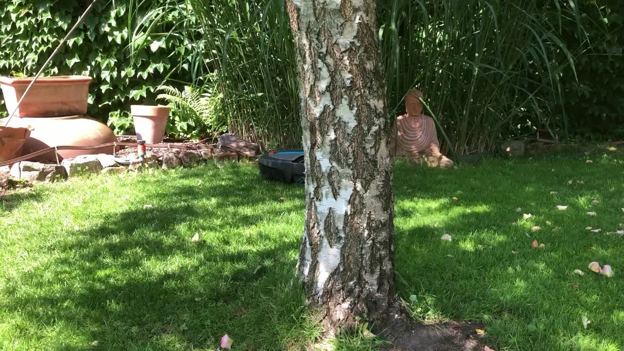 Heute stelle ich euch unser Rasenmäxl vor (der kleine Rasen-Max)...... - BeFree Liebesschule