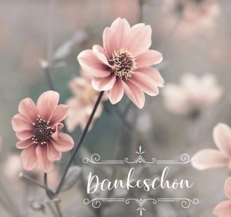 🌹💐🌹💐🌹
Ein Riesen großes Dankeschön🙏🏻❤️
Meine Lieben, ich b..... - BeFree Liebesschule