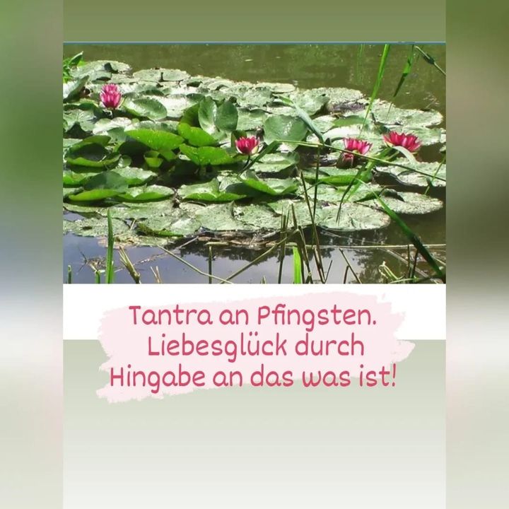 Ich freue mich schon sehr auf mein nächstes #tantraseminar an Pfi..... - BeFree Liebesschule
