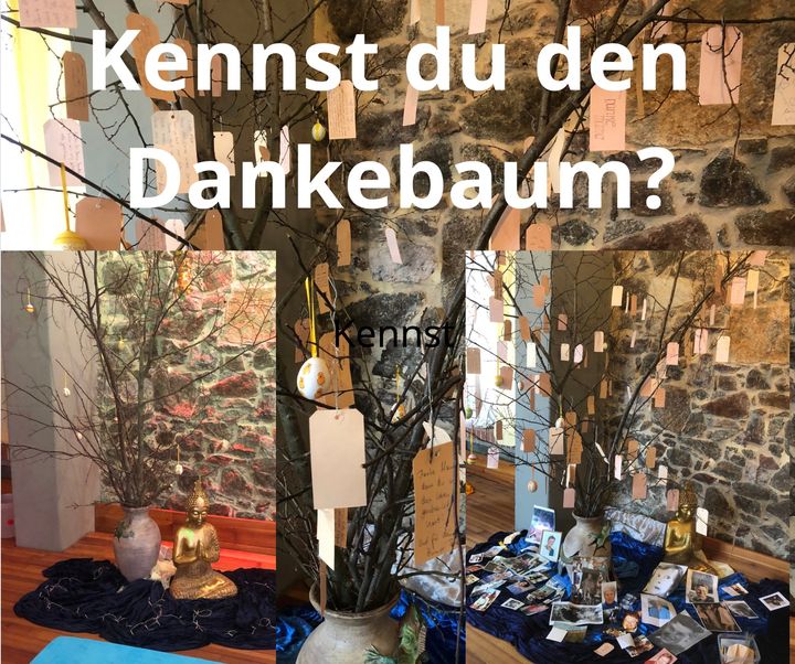 Ich habe ihn vor fast zehn Jahren in einem Park in den USA zum er..... - BeFree Liebesschule