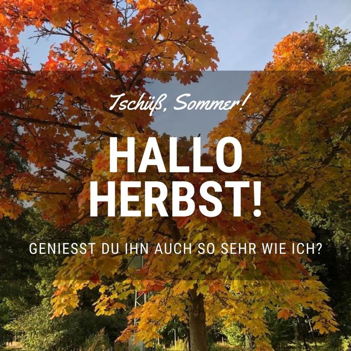 Ist dieser Herbst mit seiner Farbenpracht nicht gigantisch? Vor s..... - BeFree Liebesschule