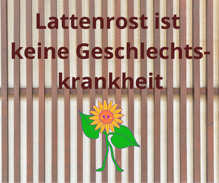 Mal wieder was zum Schmunzeln und weiter teilen! Ich wünsche Euch..... - BeFree Liebesschule