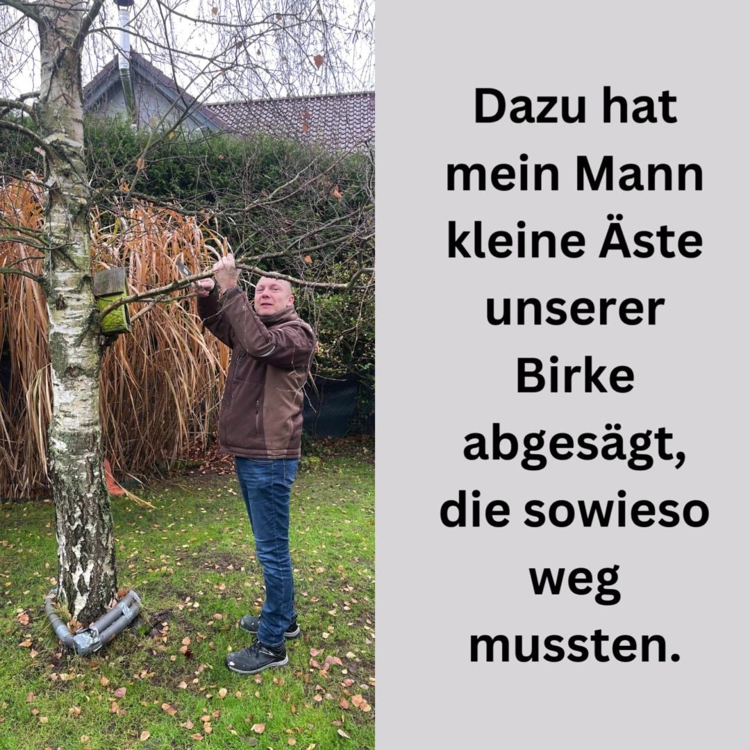 Vielleicht brauchst du noch ein berührendes Weihnachtsgeschenk un..... - BeFree Liebesschule