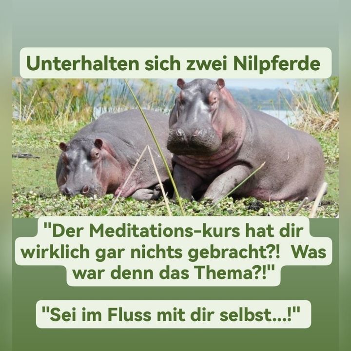 Zum heutigen Sonntag gibt es mal
wieder was zum schmunzeln. 😊
K..... - BeFree Liebesschule