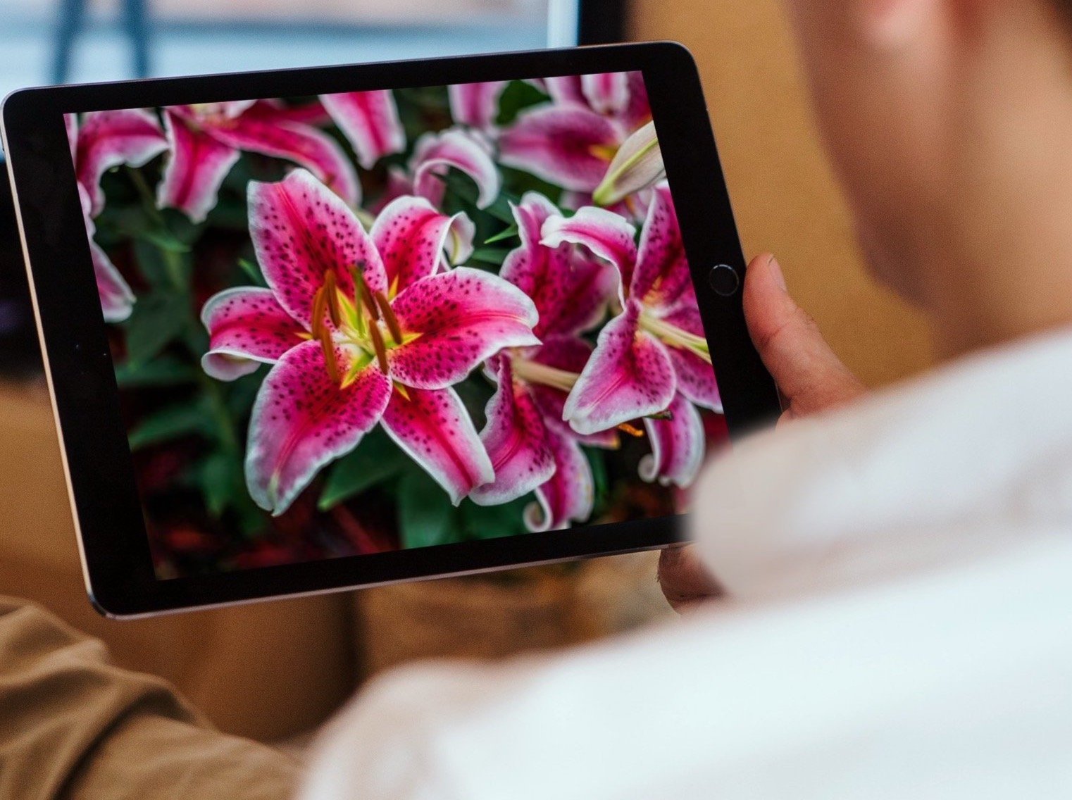 Fotoserie Yonis (Vulva im Detail) - Befree Tantra Shop