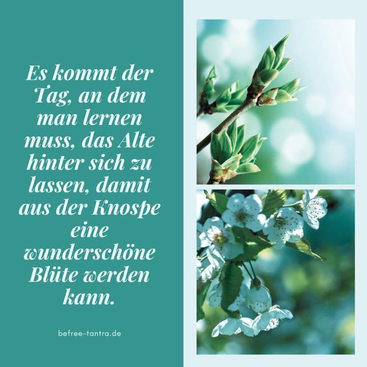 Immer, wenn ich in meinen Garten gehe, komme ich ins Staunen. All..... - BeFree Liebesschule