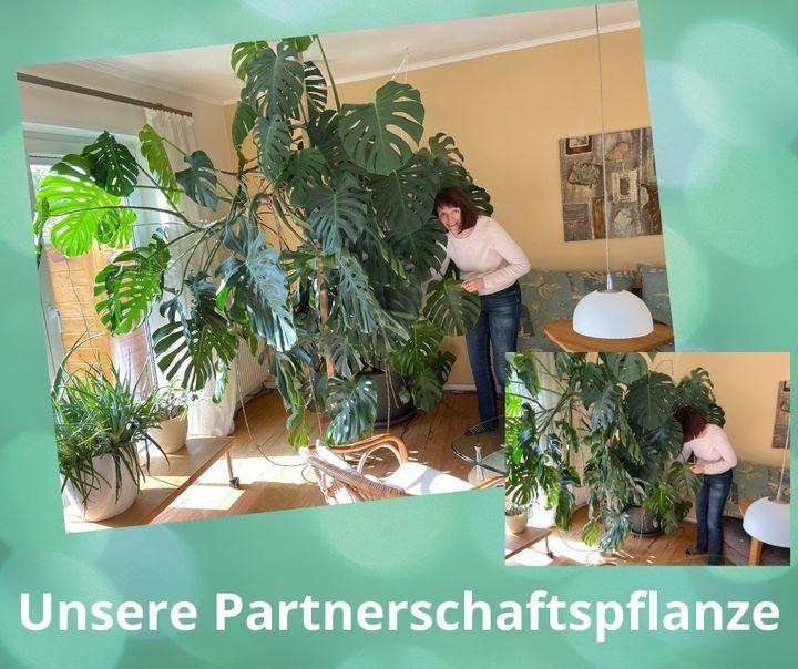 Sie steht in der Partnerschaftsecke im Wohnzimmer (laut Feng Shui..... - BeFree Liebesschule