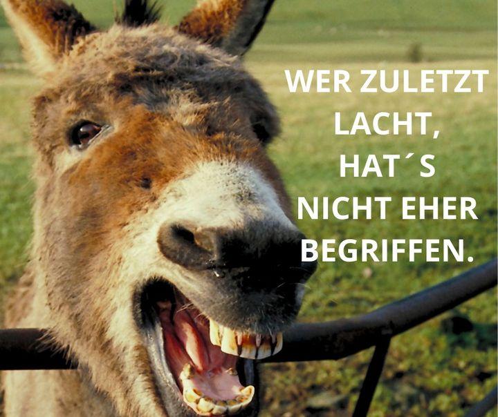 Mal wieder etwas zum Schmunzeln - denn Lachen hält gesund und erh..... - BeFree Liebesschule