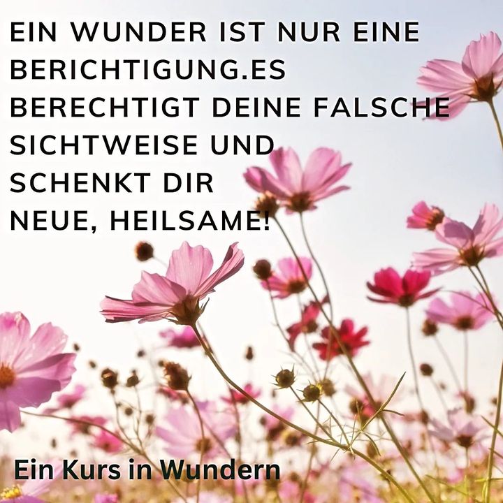 Kennst du Beispiele für solche Wunder?
Wo du auf einmal ganz ande..... - BeFree Liebesschule