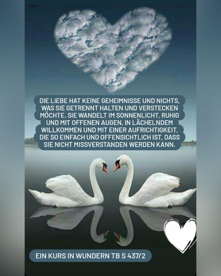 🦢♥️🦢♥️🦢♥️
Mit dieser schönen Textstelle aus "Ein Kurs in Wunde..... - BeFree Liebesschule